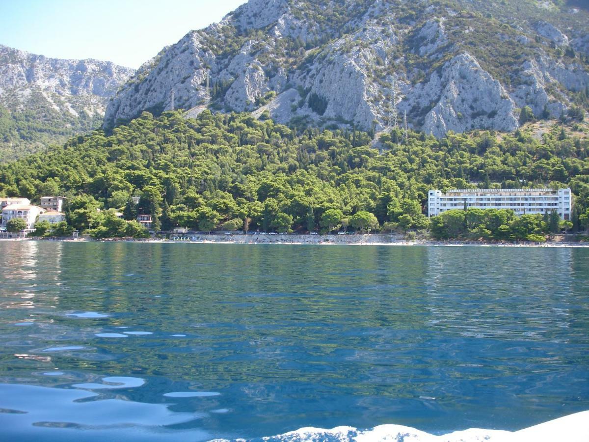 Dream House Ivana & Toni Gradac  Dış mekan fotoğraf